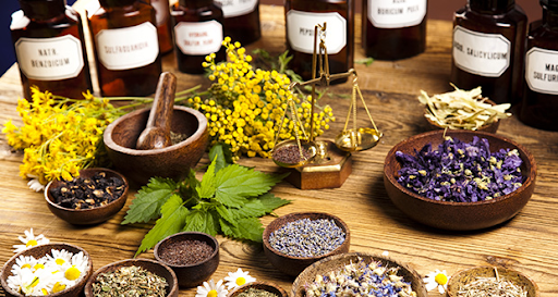 alternative medicine là gì