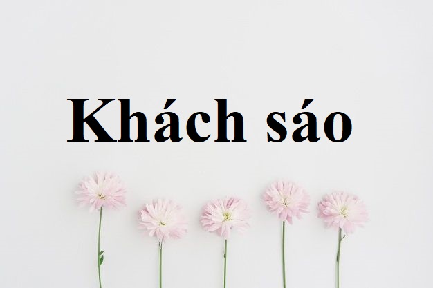 khách sáo tiếng anh là gì