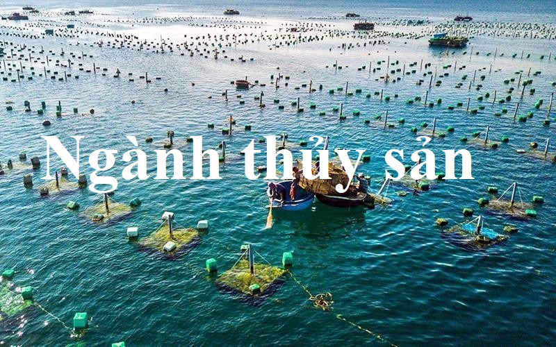 ngành thủy sản tiếng anh là gì