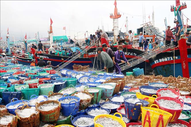 ngành thủy sản tiếng anh là gì