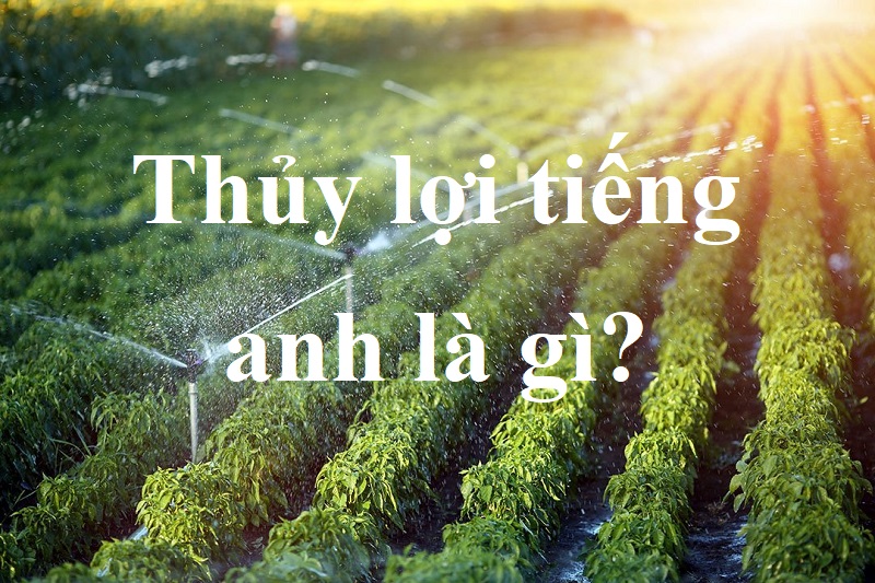 thủy lợi tiếng anh là gì