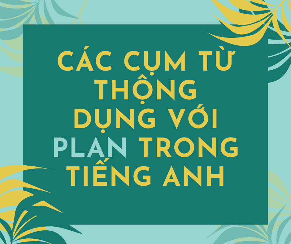 phương án tiếng anh là gì