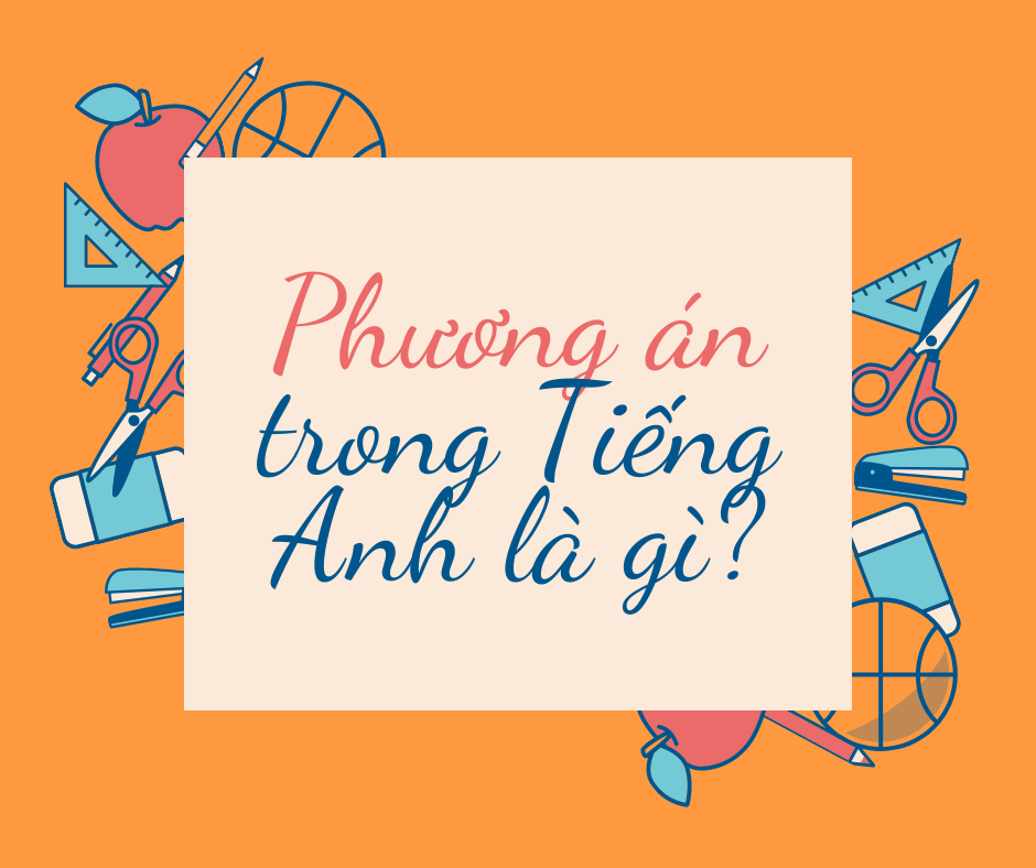 phương án tiếng anh là gì