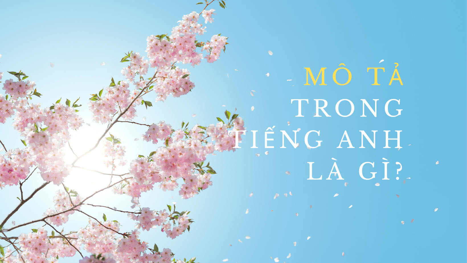 mô tả tiếng anh là gì