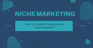 niche market là gì