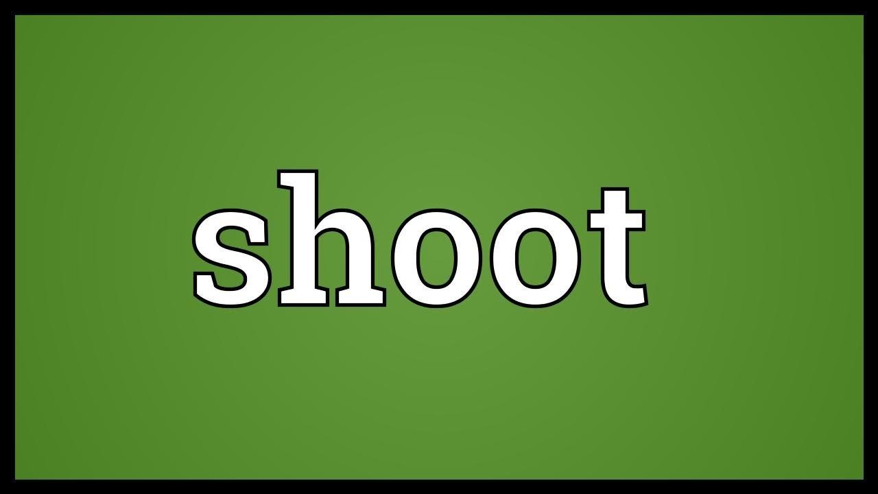 shoot là gì