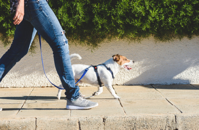 Walk tiếng anh là gì