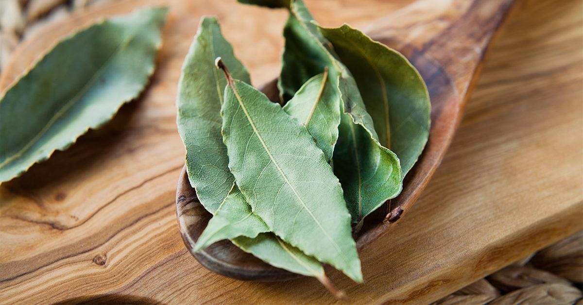 bay leaves là gì