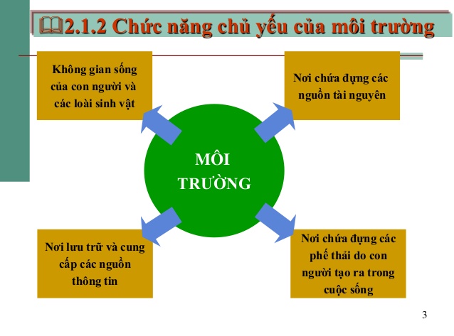 chức năng tiếng anh là gì