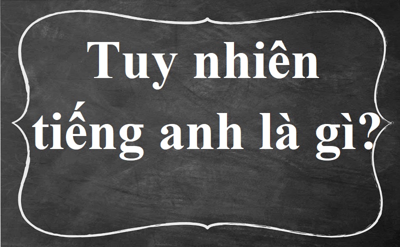 “Tuy Nhiên” trong Tiếng Anh là gì: Định Nghĩa, Ví Dụ Anh Việt