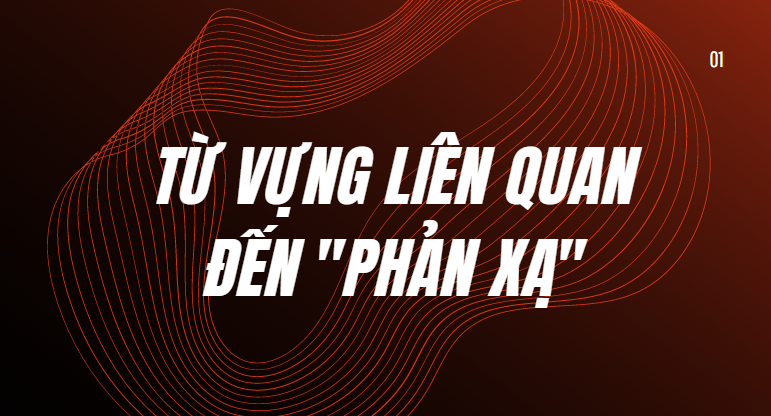 phản xạ tiếng anh là gì