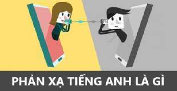 phản xạ tiếng anh là gì