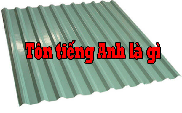 tôn tiếng anh là gì