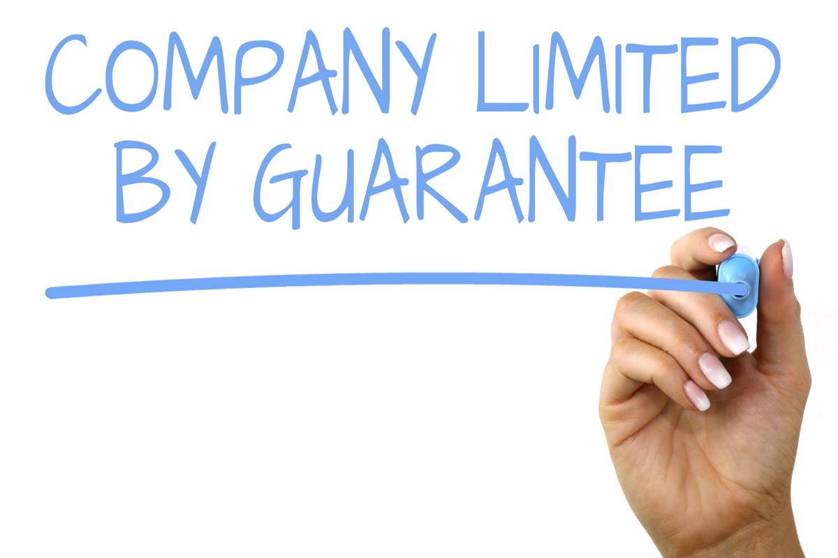 private limited company là gì