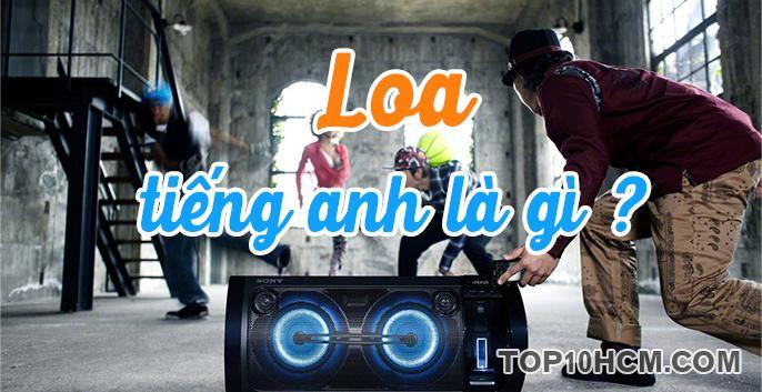 loa tiếng anh là gì