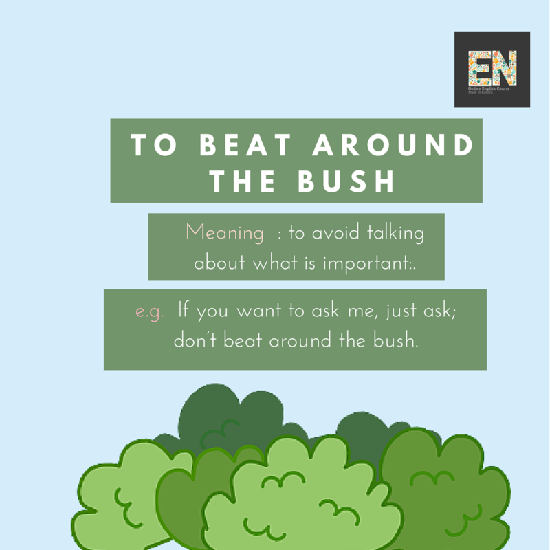 beat around the bush là gì