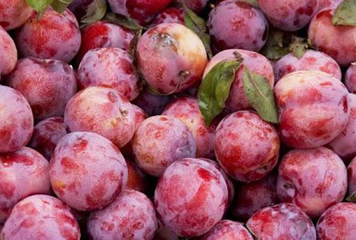quả mận tiếng anh là gì