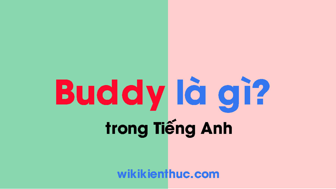 buddy là gì