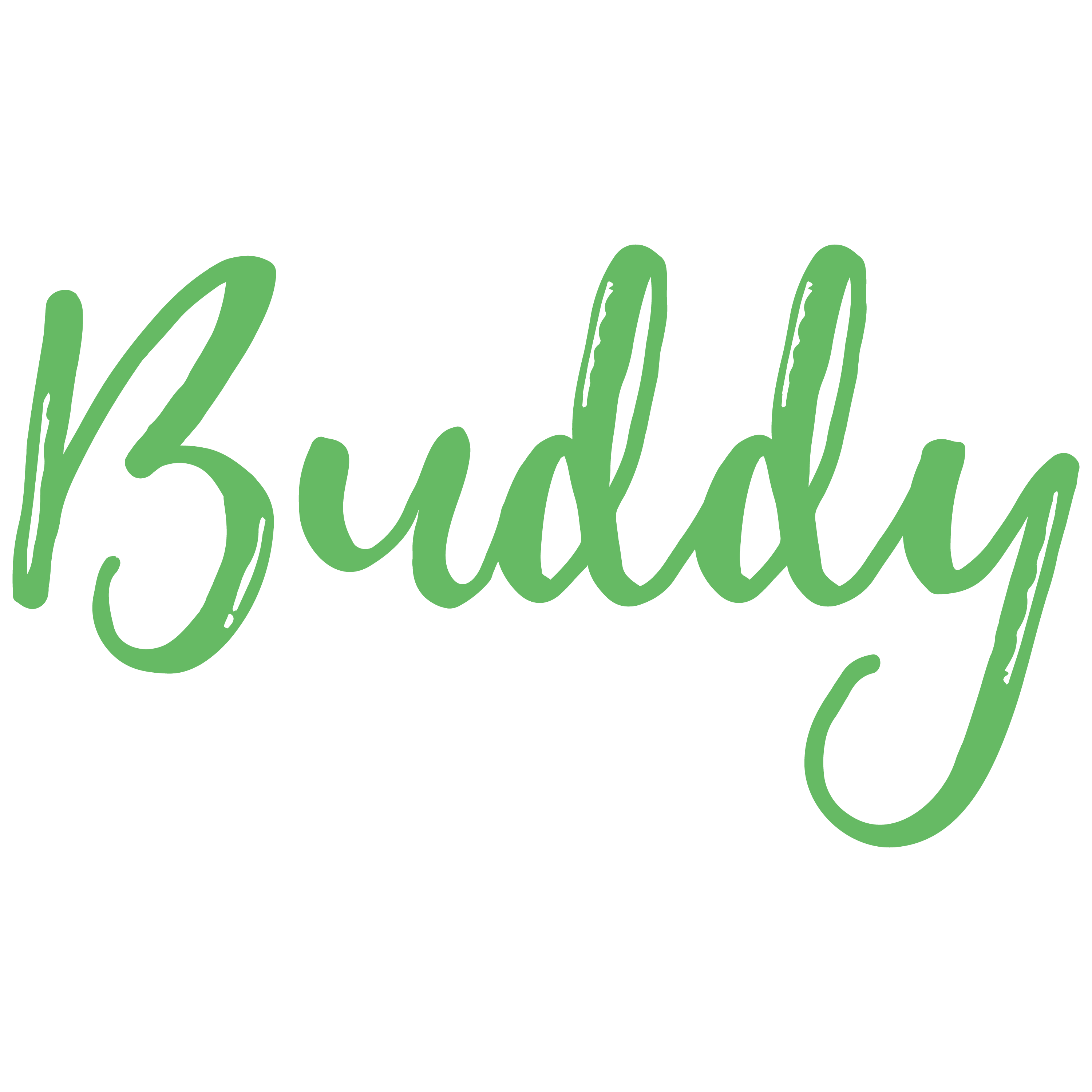 buddy là gì