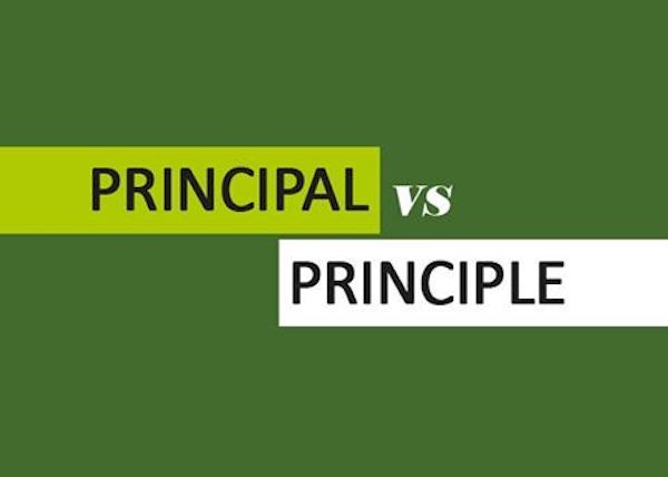 principle là gì