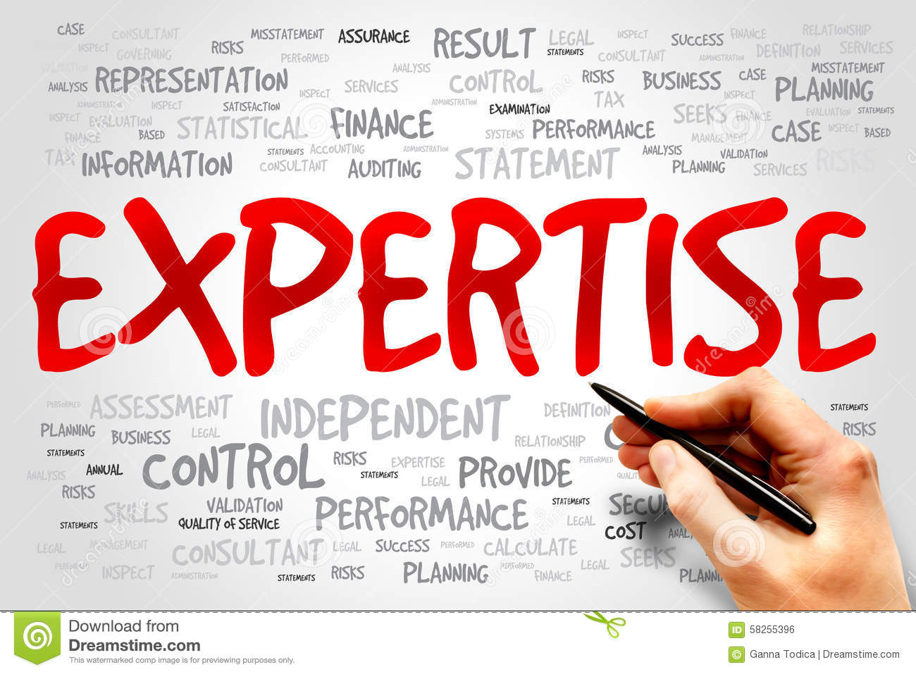 expertise nghĩa là gì