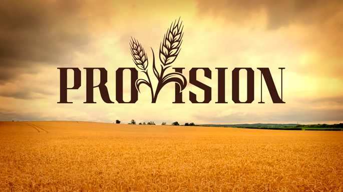 provision là gì