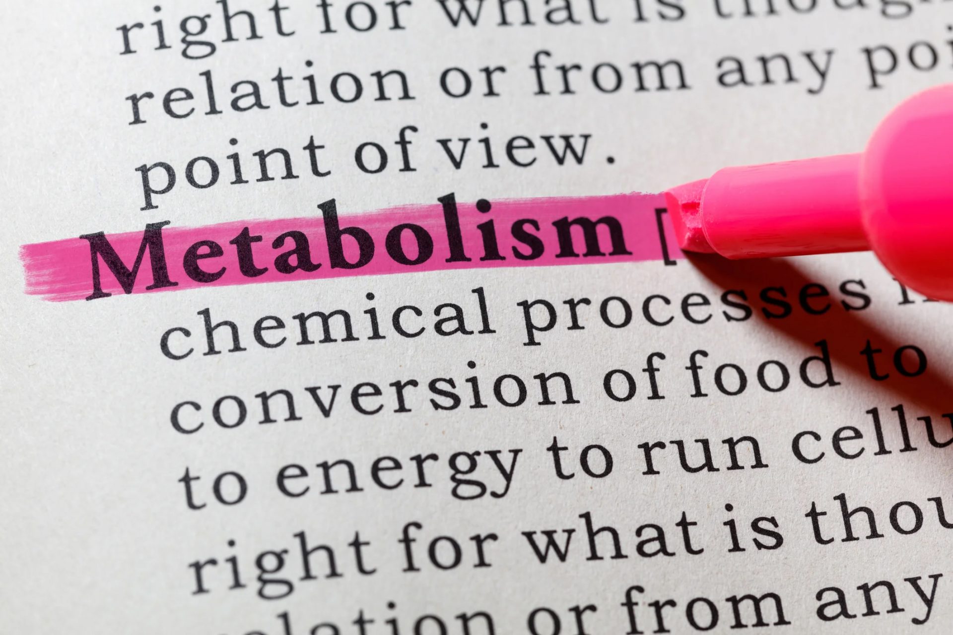 metabolism là gì