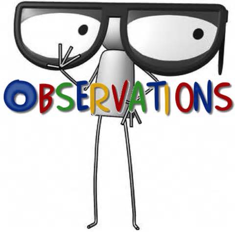 observation là gì