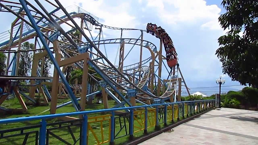 roller coaster là gì