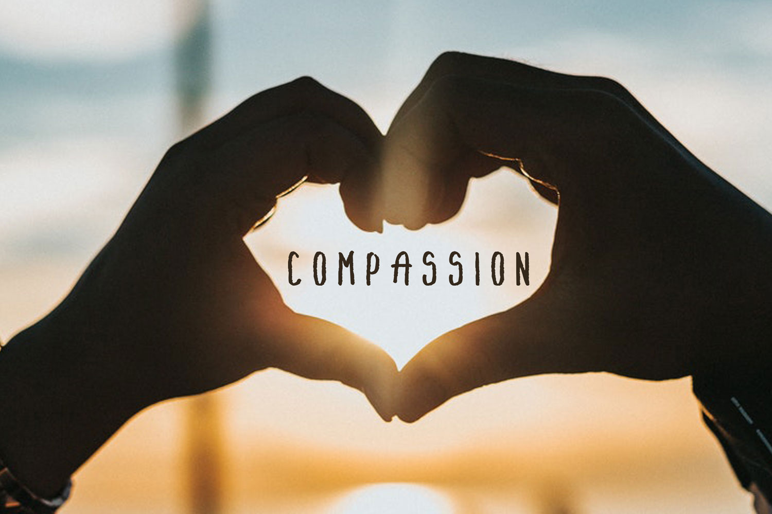 on compassion 50 essays