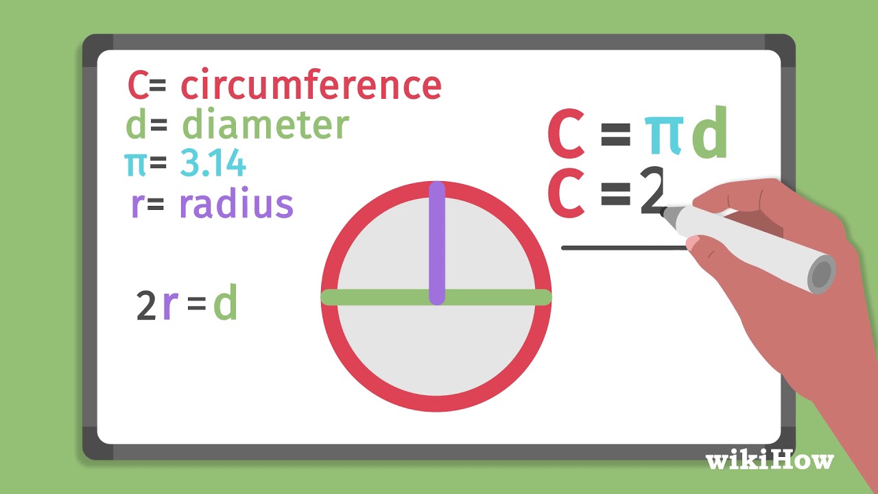 circumference là gì
