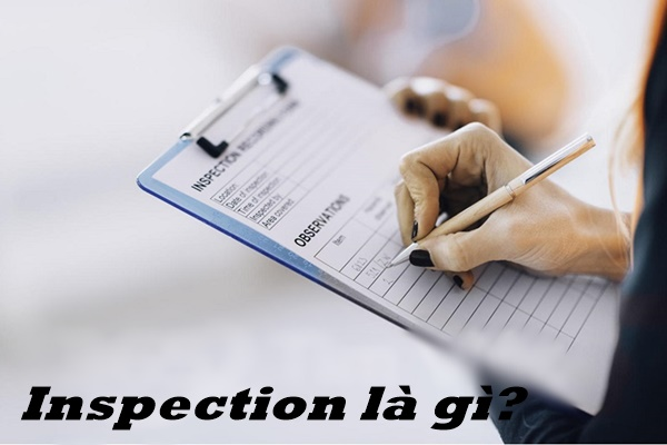 “Inspection” nghĩa là gì: Định Nghĩa, Ví Dụ trong Tiếng Anh