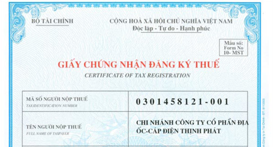 "Mã số thuế" trong Tiếng Anh là gì: Định Nghĩa, Ví Dụ Anh Việt