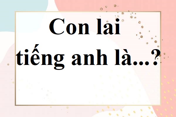 “Con Lai” trong Tiếng Anh là gì: Định Nghĩa, Ví Dụ Anh Việt