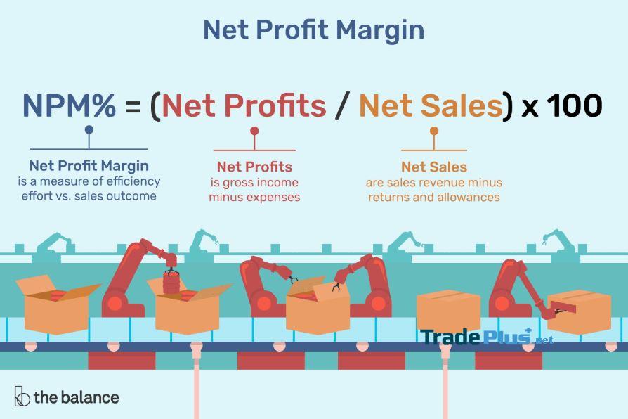 net profit margin là gì