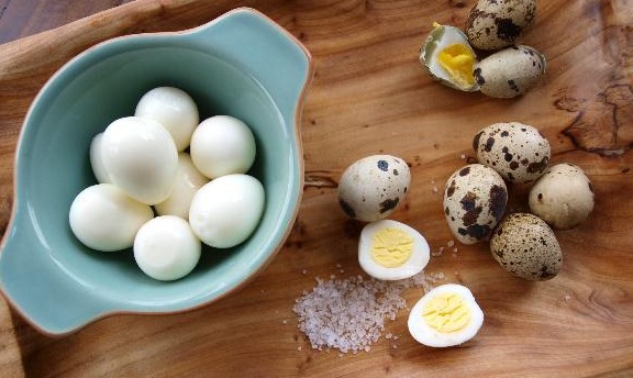 trứng cút tiếng anh là gì
