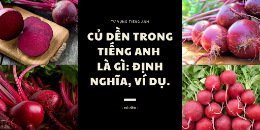 củ dền tiếng anh là gì