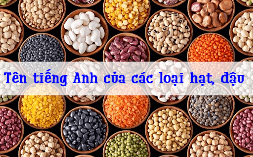 đậu xanh tiếng anh là gì