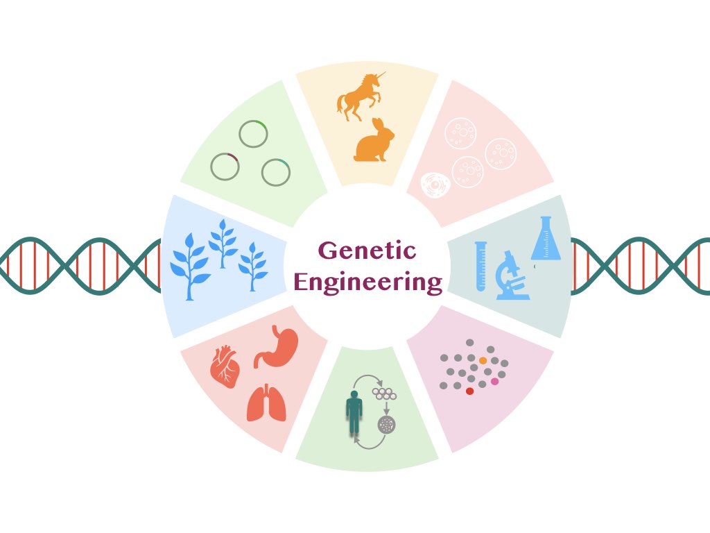 genetic engineering là gì
