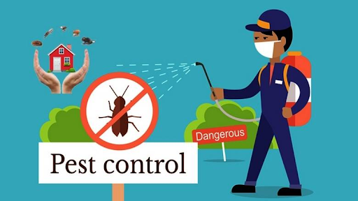 pest control là gì
