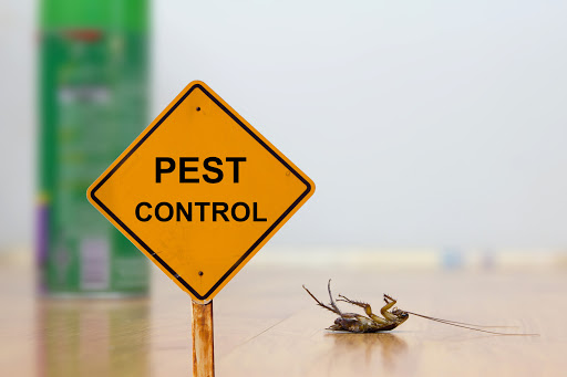 pest control là gì