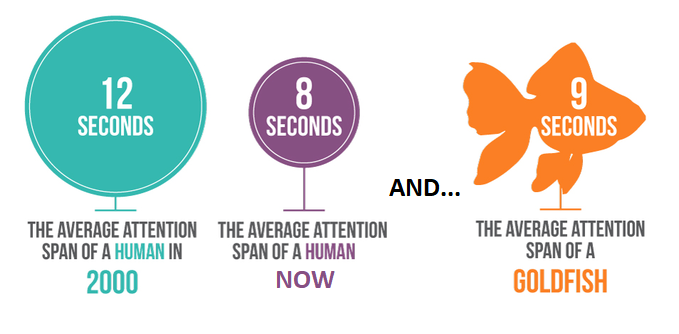 attention span là gì