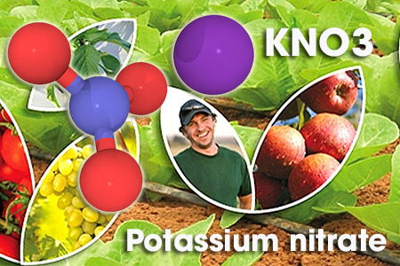 potassium nitrate là gì