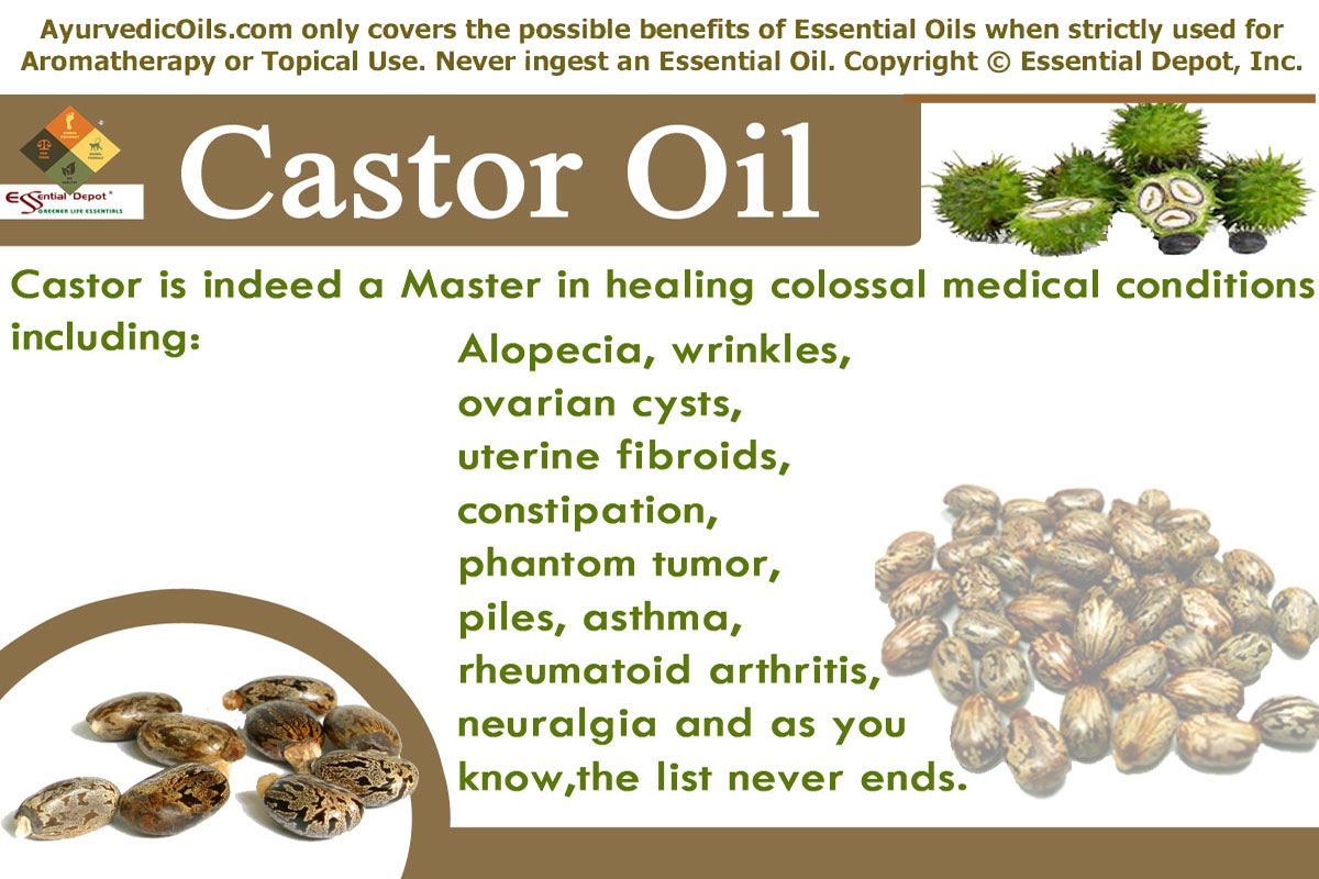 castor oil là gì
