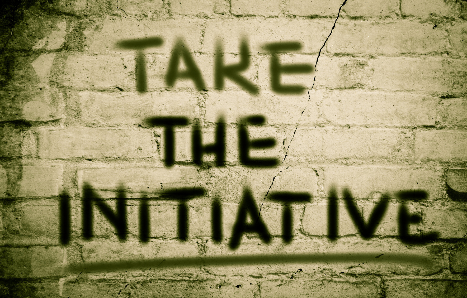 take initiative là gì