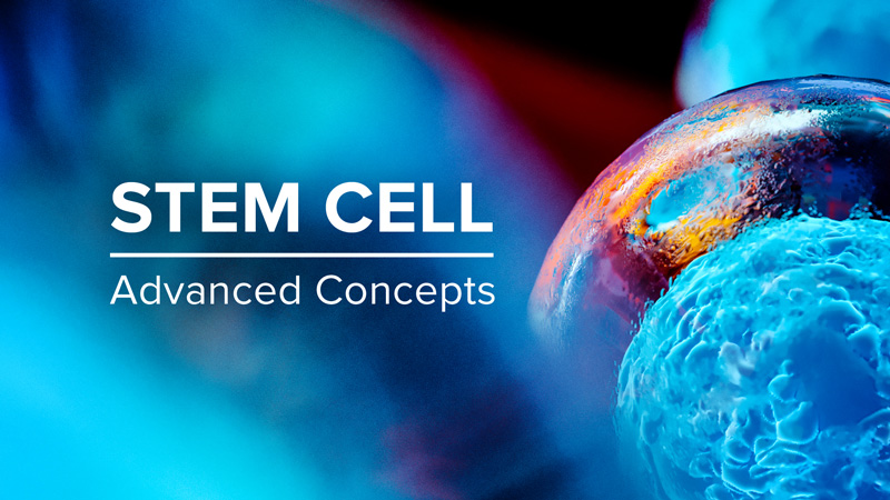stem cell là gì