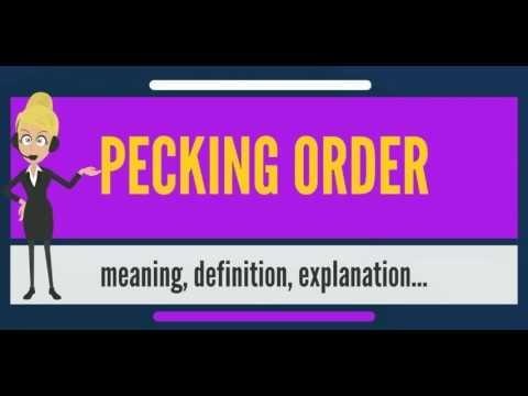 pecking order là gì