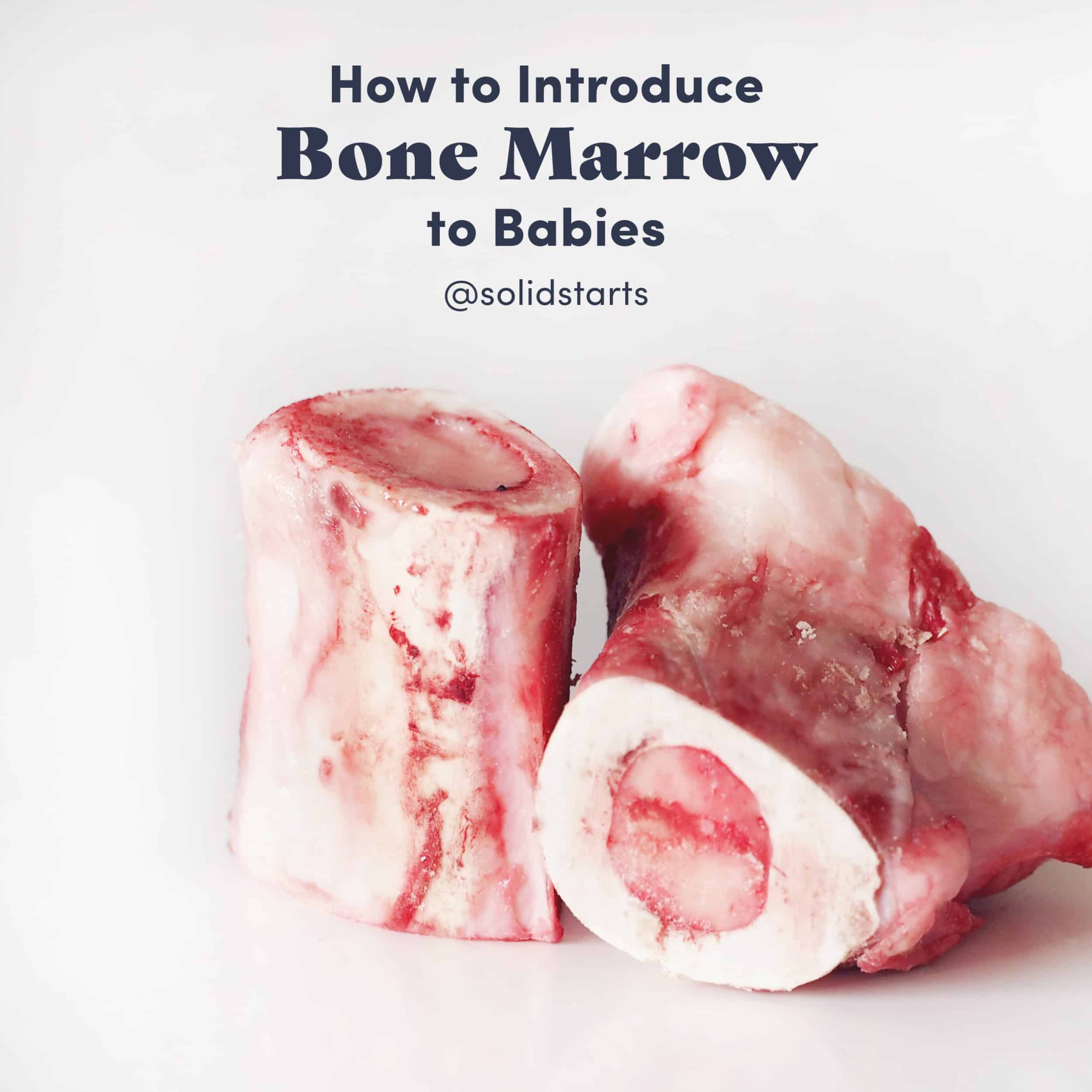 bone marrow là gì