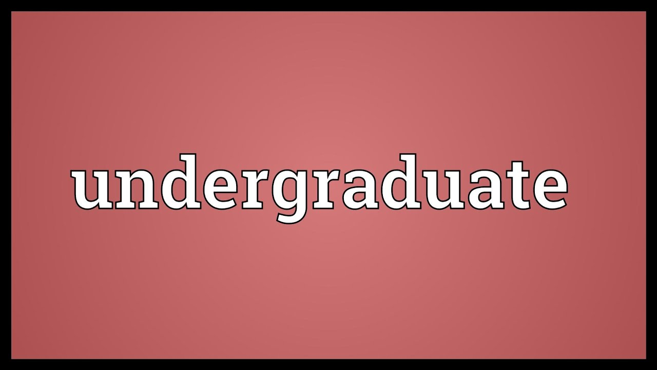 undergraduate student là gì