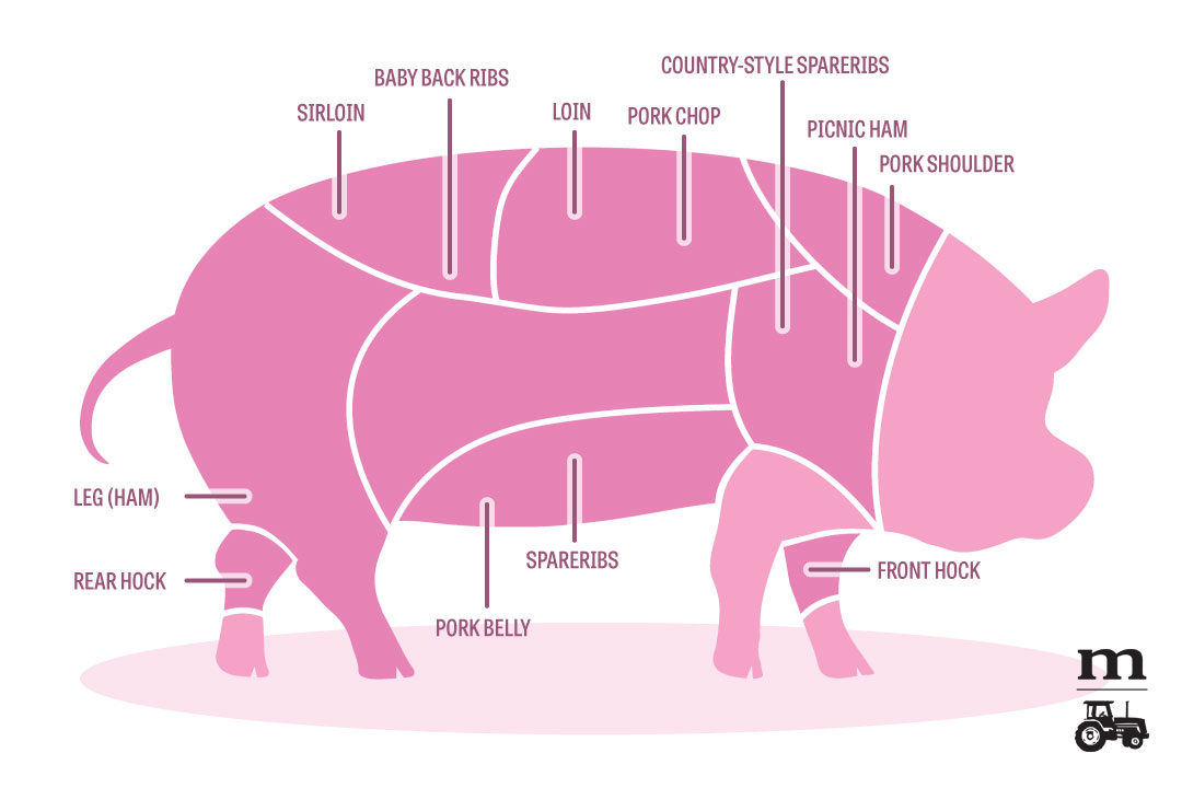 pork chop là gì